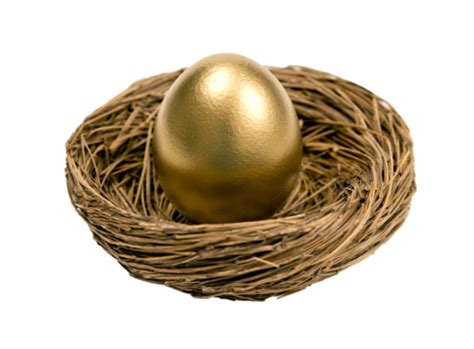 Golden Egg In Nest Isolated On White Feather Fresh Happy Season Png