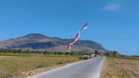 Profil Desa Puger Kulon, Jember - YouTube