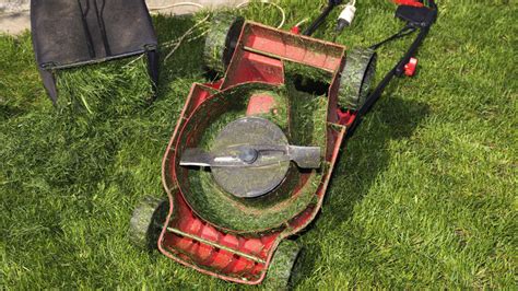 Understanding The Benefits Of Mulching Mowers For Your Lawn Grass