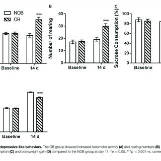 The Glycosphingolipid Biosynthesis Globo Series KEGG Pathway With