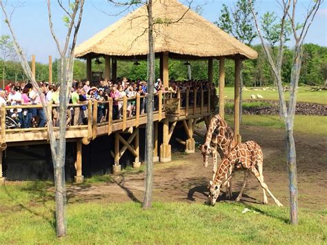 Heart of Africa Now Open at the Columbus Zoo and Aquarium - PGAV