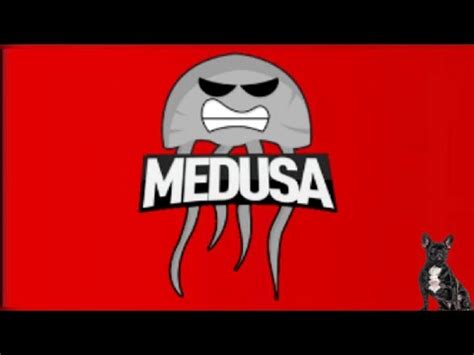 Pies Sika Na Ko Medusy Musisz Zobaczy Ich Reakcj Youtube