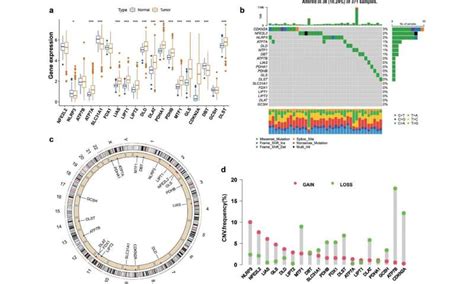 Prognostic Value And Immune Infiltration Analyses Of Cuproptosis