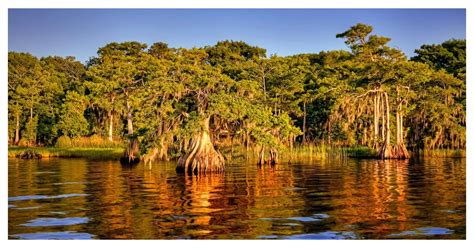 Best Florida Lakes Biggest Lakes In Florida