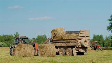 Harvesting Hay Tractor Loading Hay Bales On A Trailer Stock Footage