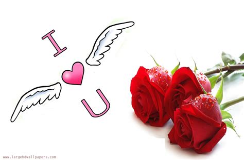 Red Rose Wallpaper I Love U Hd Wallpaper I Love You - Love You Rose ...