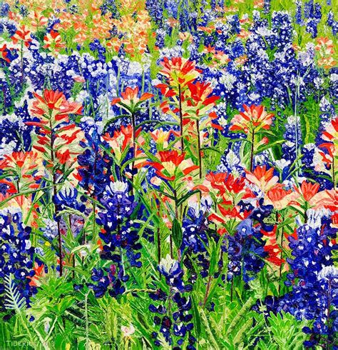 Texas Bluebonnets and Texas Paintbrushes | Richard G. Tiberius | Blue ...