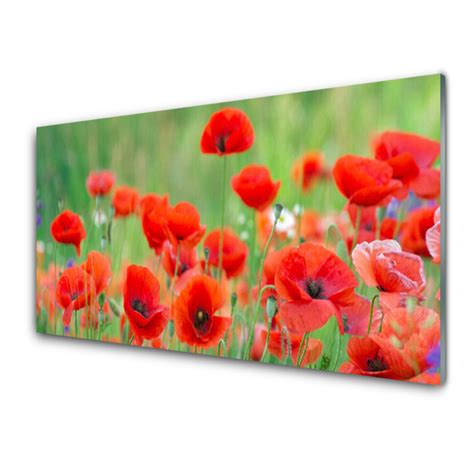 Panneaux De Cuisine En Verre Coquelicots Floral Rouge Noir Tulup Fr