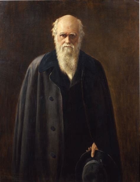 Portrait Of Charles Darwin 1809 1882 Posters And Prints By Mabel Messer