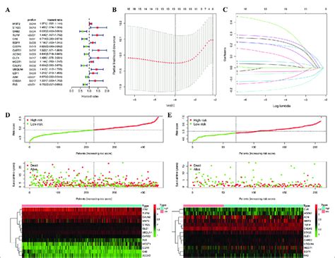 Construction Of Prognostic Model In The Tcga And Gse65904 Cohorts A