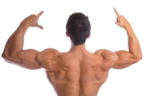 M Sculos De Muscula O De Fisiculturista Costas Fortes Musculares