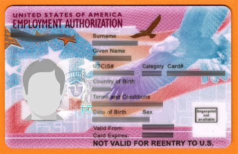 Employment Authorization EAD Card from USCIS Stock Image - Image of ...