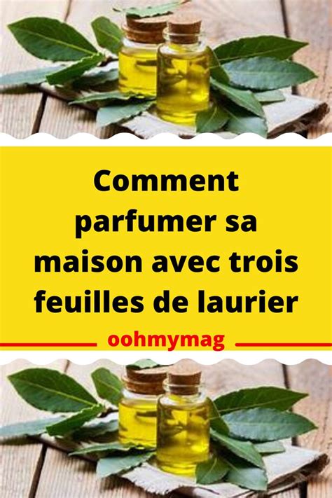 Comment Parfumer Sa Maison Avec Trois Feuilles De Laurier Oohmymag