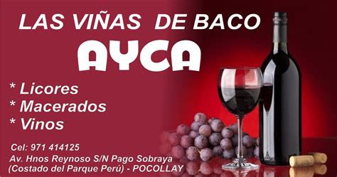 Servicios Que Ofrece Tacna Per Las Vi As De Baco Ayca