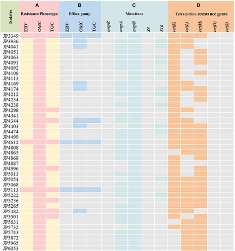 Frontiers In Vitro Antimicrobial Activity And Resistance Mechanisms