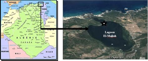 Geographical Location Of The Sampling Sites Of Lagoon El Mellah