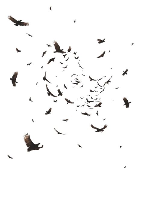 Circle Pattern - Unlimited Download. cleanpng.com. | Flying photography