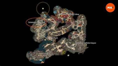 How to get Baldur’s Gate 3 Sussur Tree Bark