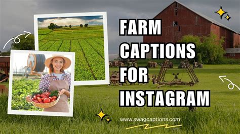 Farm Captions For Instagram Youtube