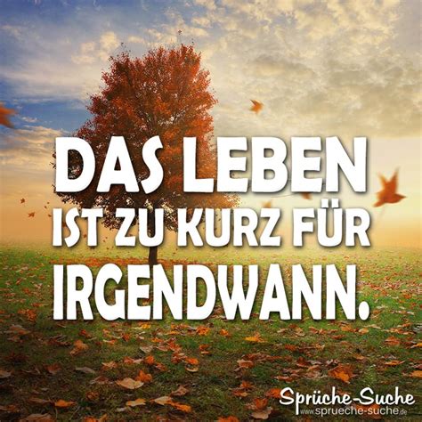 49 Das Leben Ist Zu Kurz Fuer Irgendwann Sprueche Spruch Des Tages