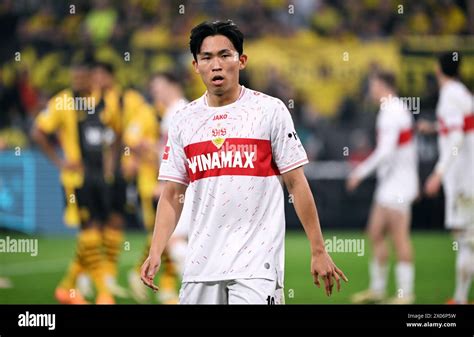 Bundesliga Signal Iduna Park Dortmund Borussia Dortmund Vs Vfb