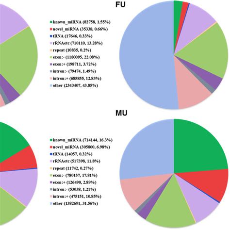 Classification of sRNAs in the four libraries. ‘rRNAetc’ includes rRNA ...