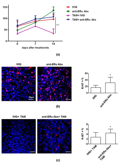 Anti Er Abs Induced Tumor Growth And Tam Resistance In Breast Cancer