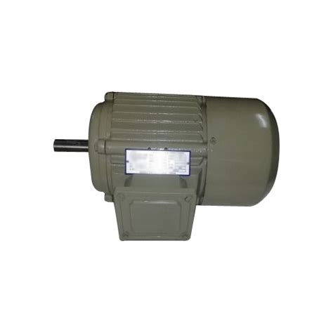 Three Phase Ac Induction Motor Ip Rating Ip23 At Rs 8000piece In