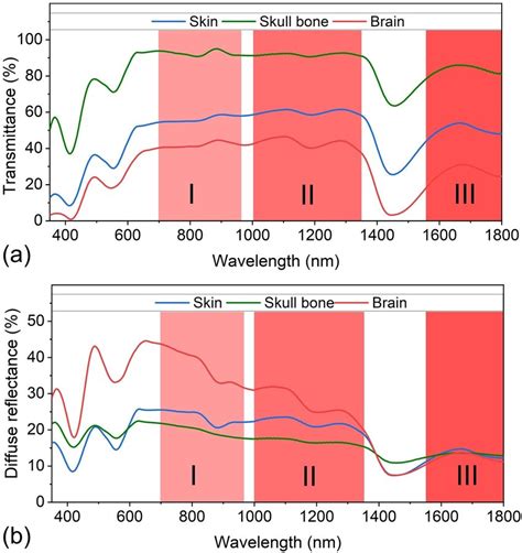 A Total Transmittance And B Diffuse Reflectance Spectra Of Mouse