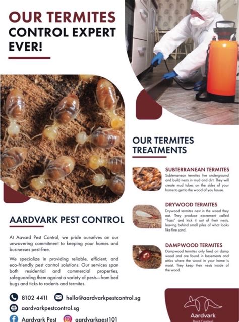 Termites Control For Subterranean And Drywood Termites Home Services