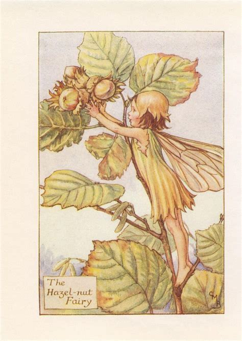 Original The Hazelnut Fairy Print Flower Fairies Of Autumn Etsy