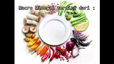 Mengenal Makro Dan Mikro Nutrien Youtube