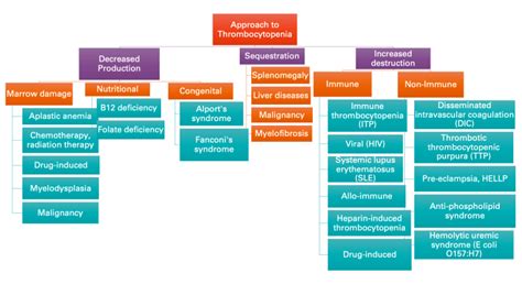 Lets Stick Together Approach To Thrombocytopenia Morning Report December 7th Wch