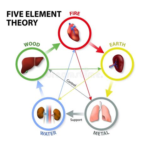 Teor A De Cinco Elementos Ilustraci N Del Vector Ilustraci N De