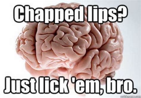 Funny Scumbag Brain Meme 70 Pics Izismile