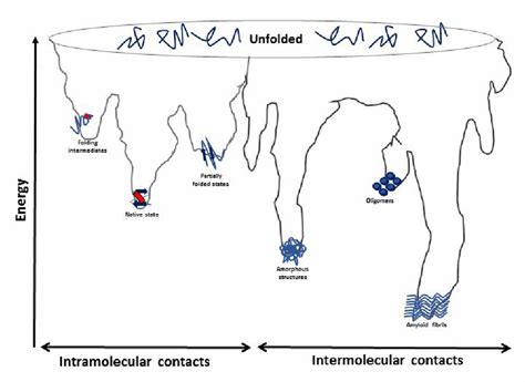 The free energy landscape of protein folding (left) and aggregation ...