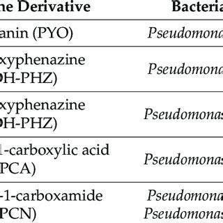 Different phenazine derivatives associated with their producing ...