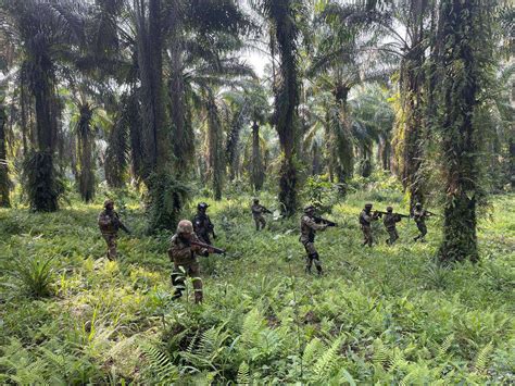 Militares Brasileiros Em Miss O Da Onu Na Frica Treinam Tropas Em