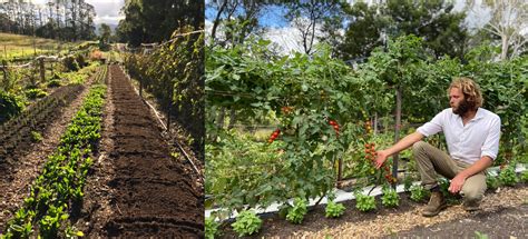 Organic Farm Tours Love Cabins