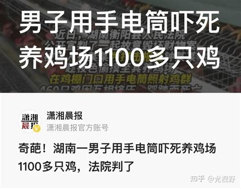 如何看待湖南男子为报私欲用手电筒吓死养鸡场1100只鸡！为何养鸡场的鸡不能受到惊吓？ 知乎