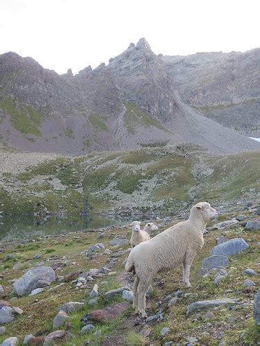 Am Lagh Dal Teo Hinten Der Piz Fotos Hikr Org