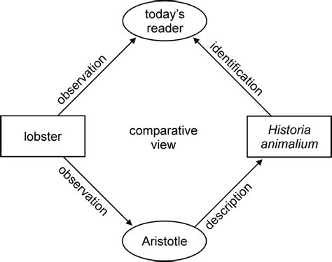 Schematic Representation Of The Method Of “comparative Seeing” Showing Download Scientific