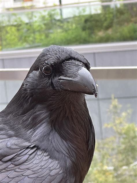 Lord of the Sixth College dining halls : r/UCSD