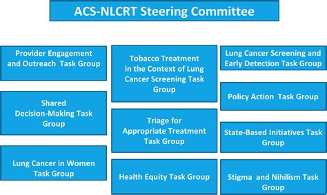 The American Cancer Society National Lung Cancer Roundtable Strategic