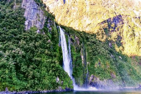 Ab Queenstown Milford Sound Premium Tages Bootstour GetYourGuide