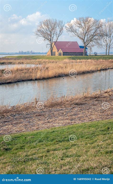 Old Farm In A Dutch Polder Stock Photo Image Of Nature