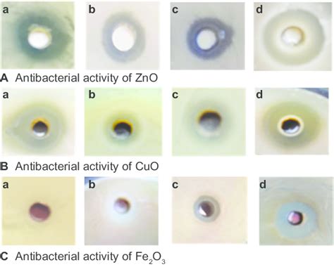 Zone Of Inhibition Produced By Different Metal Oxide Nanoparticles