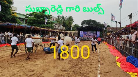 7 వ జత ఒగల జత నయ కటగర బలస బలపరదరశన tanuku YouTube