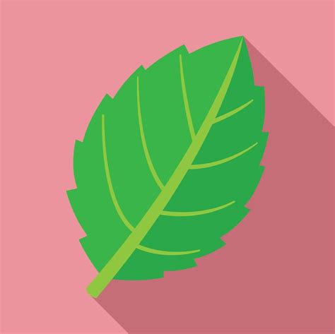 Mint Leaf Plant Icon Flat Style 14542315 Vector Art At Vecteezy