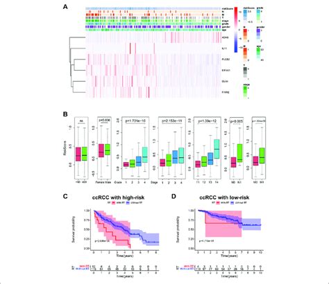 Bu Meta Gps Correlated With Clinical Features And Radiotherapy A